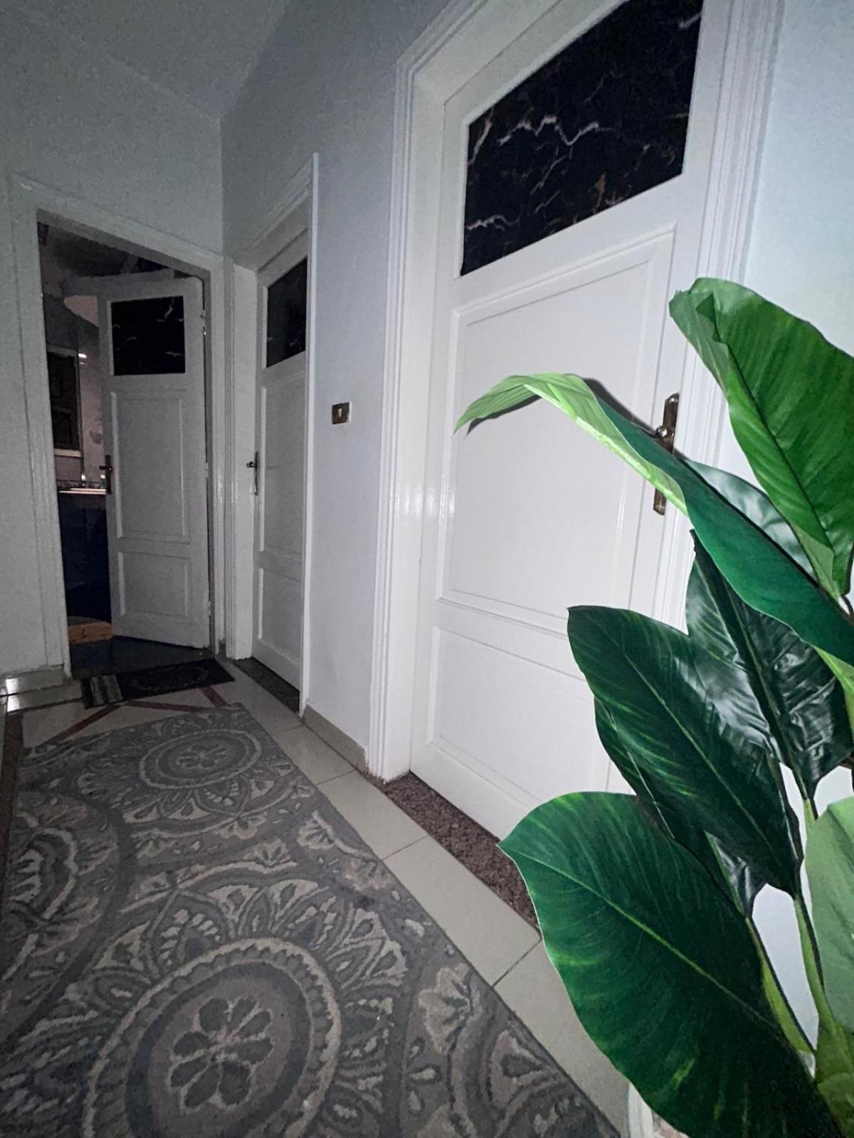 Master In Nasr City, Private Bathroom *